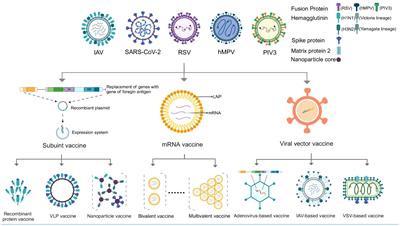 Towards broad-spectrum protection: the development and challenges of combined respiratory virus vaccines